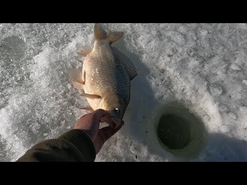 Видео: Путешествие, Рыбалка на озеро ЧАНЫ  КАРАСИННЫЙ КЛАНДАЙК ! Серия 1 Ачинск -Чаны