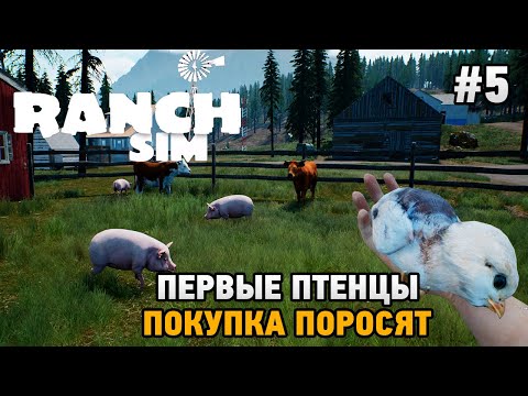 Видео: Ranch Simulator #5 Первые птенцы, покупка поросят