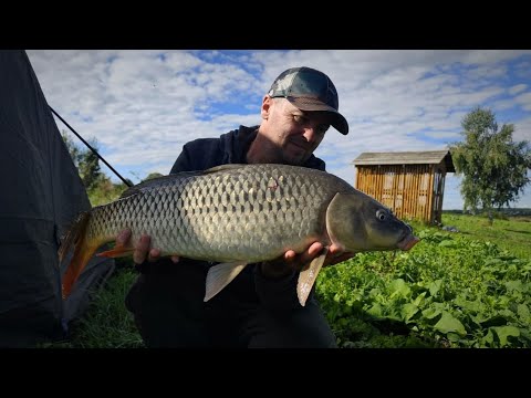 Видео: РИБОЛОВЛЯ В СИЛЬНИЙ ВІТЕР!