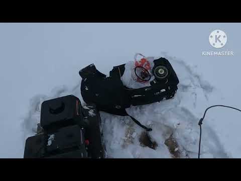 Видео: 2 ночи 3 дня Рыбалка в Карелии.