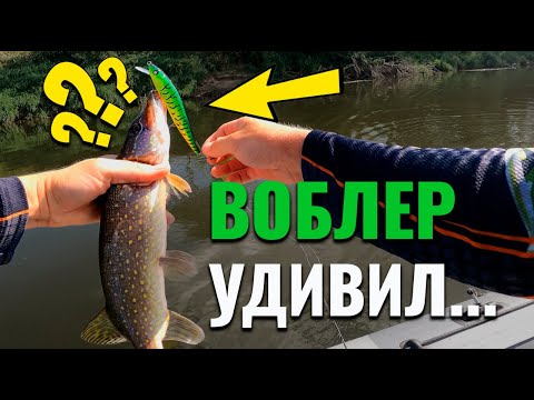 Видео: Этот воблер сделал рыбалку!