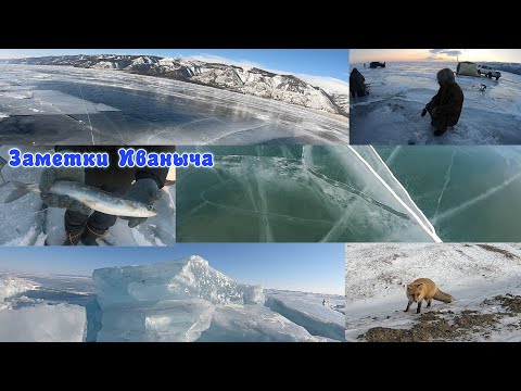 Видео: Байкал, рыбалка, омуль