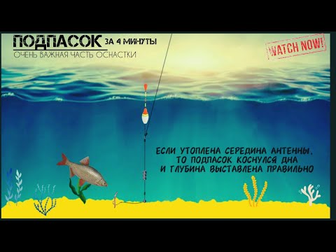 Видео: Очень ВАЖНАЯ часть оснастки ПОДПАСОК,ОГРУЗКА | КАЖДЫЙ рыболов должен знать это! #рыбалка #подпасок