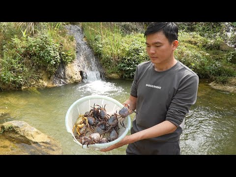 Видео: Ловите крабов, чтобы приготовить и продать грейпфруты.  Роберт |  Зеленая лесная жизнь