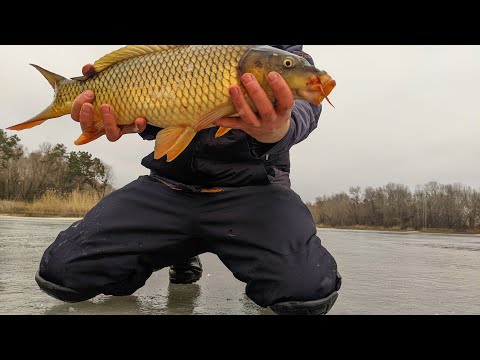 Видео: Рыбалка зимой: ловля сазана на мормышку тактика и техника ловли.