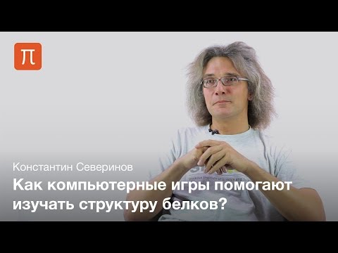 Видео: Фолдинг белка - Константин Северинов