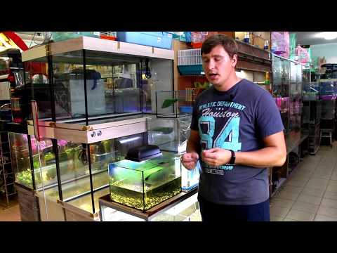 Видео: Красноухая черепаха - содержание, уход, устройство черепашатника