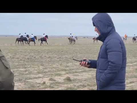 Видео: Ат байге Жданов ауылы 19.03.2022ж.Журек