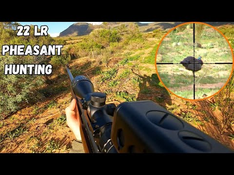 Видео: Охота на фазанов и цесарок с 22LR (Scope-Cam)