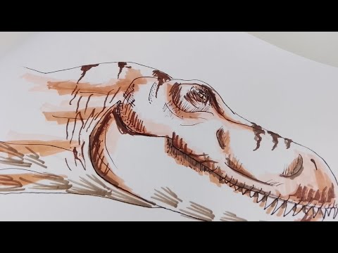 Видео: Drawing T-Rex. Easy. Jurassic world rebirth. Рисую Тираннозавра. Легко. Для новичков
