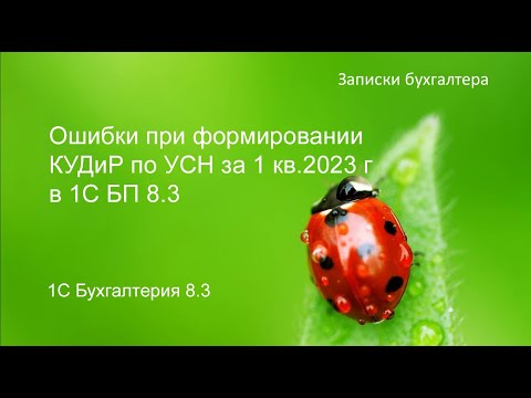 Видео: Ошибки при заполнении КУДиР по УСН за 1 квартал 2023 года в 1С БП 8.3