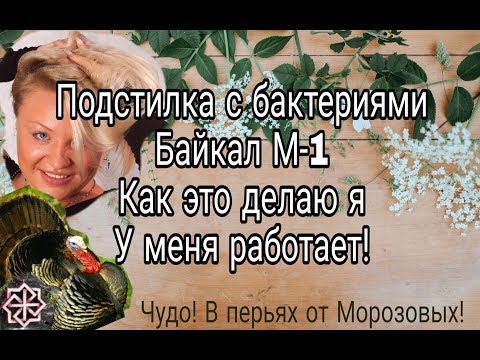 Видео: Подстилка с бактериями Байкал М-1//Как это делаю я//У меня работает.