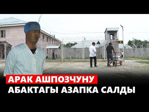 Видео: Арак ашпозчуну абактагы азапка салды // Абактагы тагдырлар