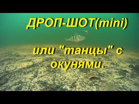 Видео: Подводное видео Full HD.Дроп-шот(mini) или "танцы" с окунями.Cьемки в режиме реального времени.