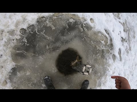 Видео: Рыбалка ХАПУГАМИ в СИБИРИ. КАК Я ЛОВИЛ ЩУКУ ХАПУЖКОЙ. ХАПУГА-ХЛОПОК. ЧУДО ПЕШНЯ от ВЛАДИМИРА