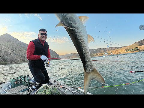 Видео: РЫБАЛКА 🎣НА  ИЛИ .✊️
