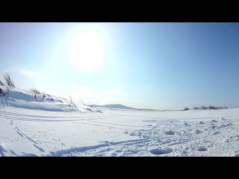 Видео: Рыбалка на Амуре.