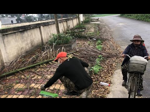 Видео: С удивлением я вызвался убрать дорожку. С помощью простых инструментов косить траву преобразилось.