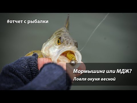 Видео: Мормышинг или микроджиг? Ловля окуня весной