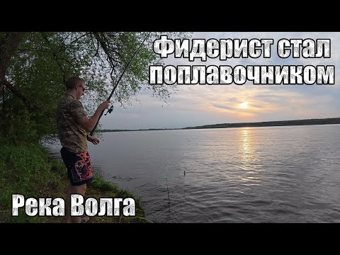Видео: Фидерист стал поплавочником. 2-я серия, 2-ой день на новом месте. Река Волга. Рыбалка на Фидер.