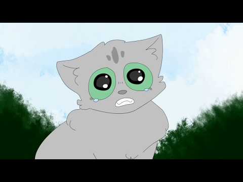 Видео: Ноющие сестры