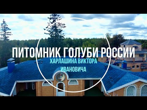 Видео: САМЫЙ БОЛЬШОЙ ПИТОМНИК ГОЛУБЕЙ КОТОРЫЙ Я ВИДЕЛ. Бакинцы,Ленинаканцы,Николаевские,Чайки,Монахи и тд..