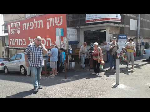 Видео: ШУК ТАЛЬПИЁТ В ХАЙФЕ!