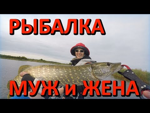 Видео: Рыбалка с женой в Эстонии. Ночёвка на острове Сааремаа. Активный клёв окуня #1