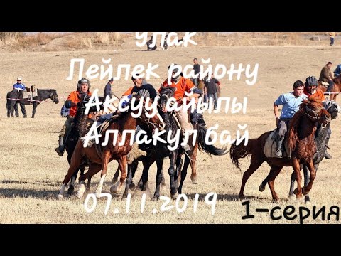 Видео: Улак Лейлек району Ак-суу айылы Аллакул бай 07.11.2019-жыл