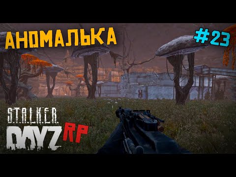 Видео: АНОМАЛЬНАЯ ПЕЩЕРА В ОДИНОЧКУ. DAYZ STALKER RP 23 серия