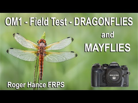 Видео: OM1 — Полевые испытания — Стрекозы и поденки