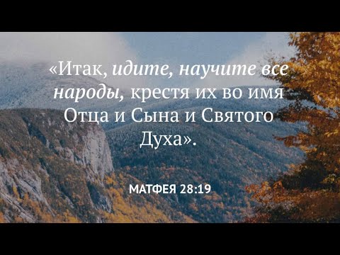 Видео: 9 ноября 2025 г.