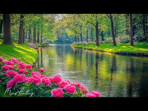Видео: Красивая расслабляющая музыка 🌿 Перестаньте слишком много думать, музыка для снятия стресса
