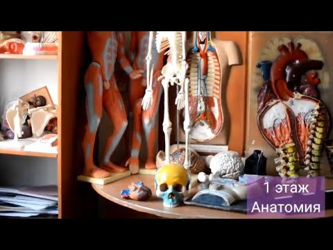 Видео: Расположение кафедр | 1 курс Общая медицина | КазНМУ им. С.Д. Асфендиярова