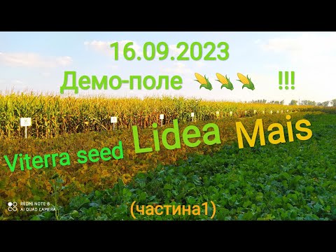 Видео: Огляд демо-поля 🌽🌽 2023! (ч.1)