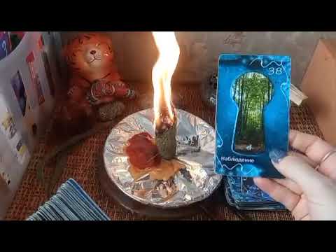 Видео: Чакровая чистка💎🔥 Чистим свадхистану! #свадхистана #чакра #ритуал #ритуалчистка