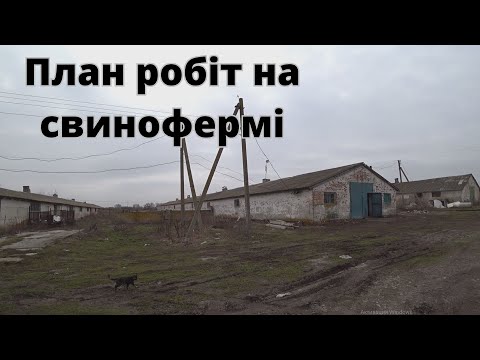Видео: Знайомство з фермою для відгодівлі свиней
