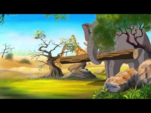 Видео: Уроки живой природы. Слоны.