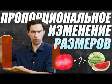 Видео: Что будет с объемом и массой при пропорциональном увеличении размеров? Математика на QWERTY