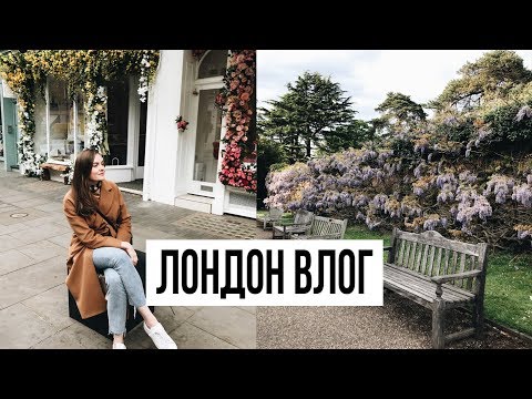 Видео: ВЕРНУЛИСЬ В ЛОНДОН | МОЯ РАБОТА и много глицинии