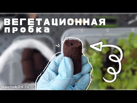 Видео: ВЕГЕТАЦИОННЫЕ ПРОБКИ (ПРЕФОРМА) ДЛЯ ЧЕРЕНКОВАНИЯ // КАК ИСПОЛЬЗОВАТЬ