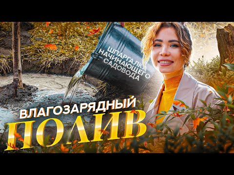 Видео: ПОЛИВ САДА ОСЕНЬЮ💦 Осенний влагозарядный полив: 5 ПРАВИЛ садовода