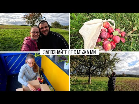 Видео: ЗАПОЗНАЙТЕ СЕ С МЪЖА МИ | КАК СЕ СЪХРАНЯВАТ ЯБЪЛКИ ЗА ЗИМАТА?