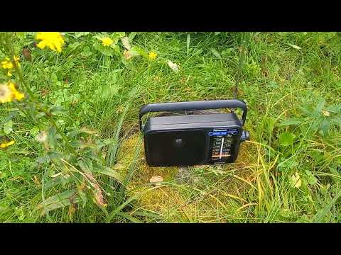 Видео: Приём Радио Маяк на FM диапазоне 88.9 МГц 1 кВт в Новой Москве 23.08.2024