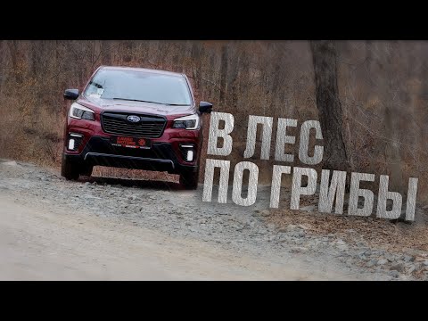 Видео: ВЕЧНЫЙ СПУТНИК ПРИКЛЮЧЕНИЙ | SUBARU FORESTER SK5 ОБЗОР