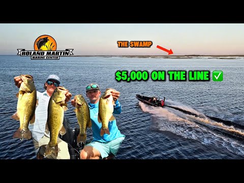 Видео: ЛОВЛЯ ГИГАНТСКОГО ОКУНЯ В БОЛОТЕ (ставка 5 тыс. долларов)
