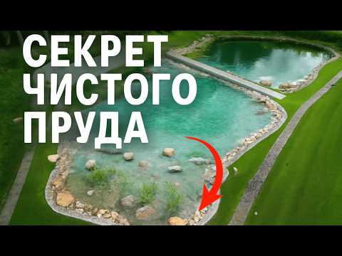 Видео: Чистый пруд без лишнего ухода и затрат | Самая эффективная фильтрация для пруда — болотный фильтр