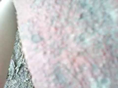 Видео: Котятки Фильм CatNap Offical