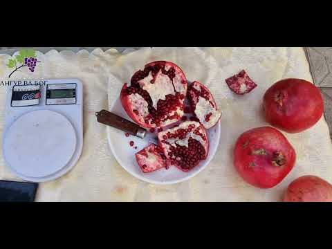 Видео: Анори Ёвон, беҳтарин анор