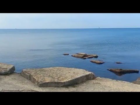 Видео: ПАПА КУПАЕТСЯ В КАСПИИ...А МЫ НА СТРИЖКУ